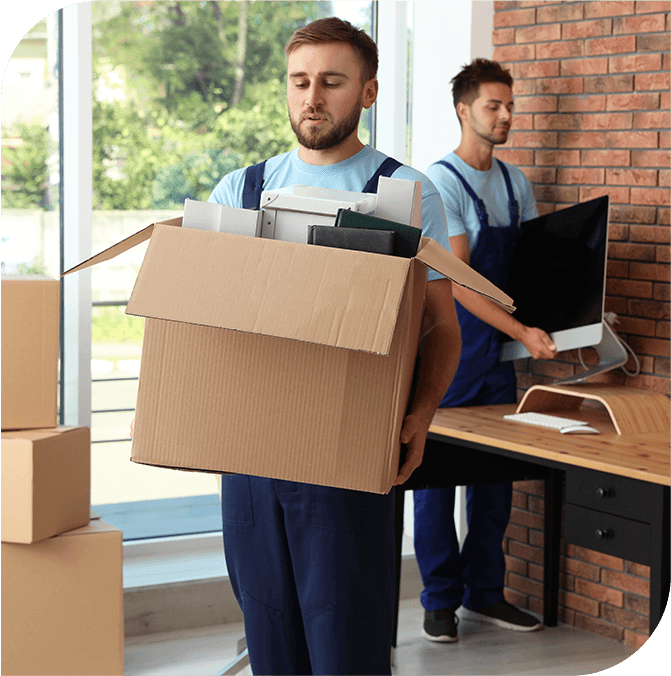 What does a removalists do?