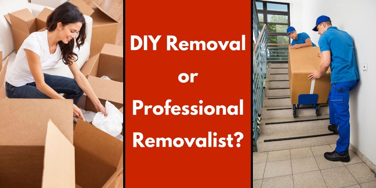 DIY-Removal-or-a-Professional-Removalist