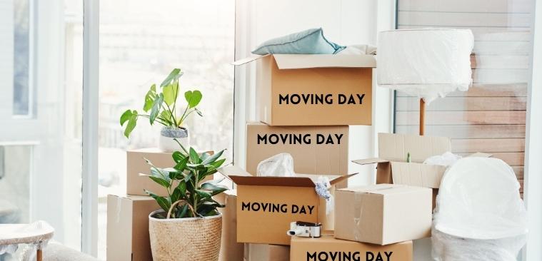 Moving Day